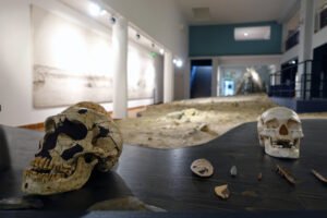Musée de Préhistoire de Terra Amata à Nice, espace de visite ludique pour enfants et familles