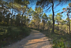 Famille en balade au Parc départemental de la Valmasque à Mougins