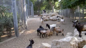 Famille en balade dans le Parc Olbius Riquier à Hyères – un jardin botanique labellisé Jardin Remarquable, recommandé par Parent Cool.