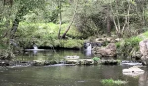 parc kids friendly parentcool.fr