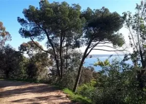 parc kids friendly parentcool.Fr