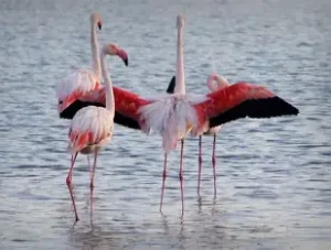 balade kids friendly parentcool.fr