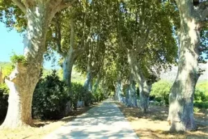 parc kids friendly présenté par parentcool.fr