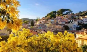 Route du mimosa parentcool.fr