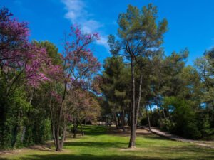 Parc des collines de Cuques Aix-en-Provence, sortie nature en famille