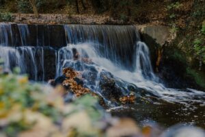 Domaine de Valabre à Gardanne balade en famille dans la forêt méditerranéenne