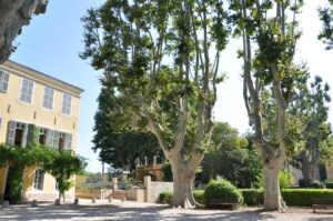 Parc de Fontblanche à Vitrolles, promenade nature avec enfants et poussette