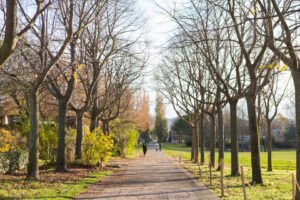 Parc du Griffon Vitrolles, parc familial avec aire de jeux et balades