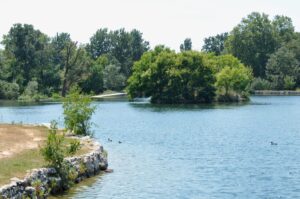 Le lac de la Tuilière à Vitrolles offre une balade tranquille en famille, idéale pour goûter, observer la nature et profiter d’un moment au calme.