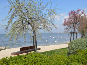 Balade des familles au Bolmon à Marignane, promenade nature avec enfants et poussette