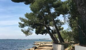 Circuit du littoral à Vitrolles le long de l’étang de Berre, balade nature en famille