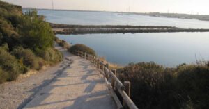 Sentiers de l’Étang de l’Estomac à Fos-sur-Mer en promenade famille au bord de l’eau