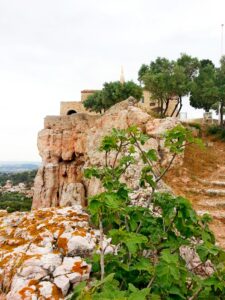Jardin du Portalet à Vitrolles, jardin en restanques avec vue au vieux village