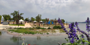 Jardin public de Ferrières Martigues, parc familial en centre-ville