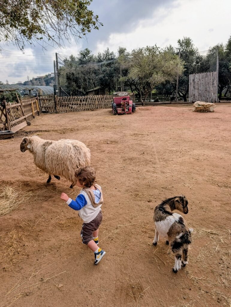 Enfants découvrant les animaux à la ferme du Pigeonnier Fréjus avec leurs parents