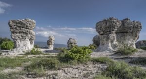 balade - Parent Cool