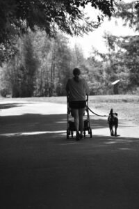 Balade en poussette dans les Bouches-du-Rhône en famille avec bébé dans un parc ensoleillé