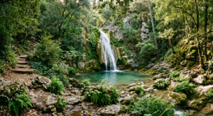 Une vue paisible de la cascade du Gouffre à Cotignac, entourée d'une végétation luxuriante et ombragée, idéale pour une sortie en famille.