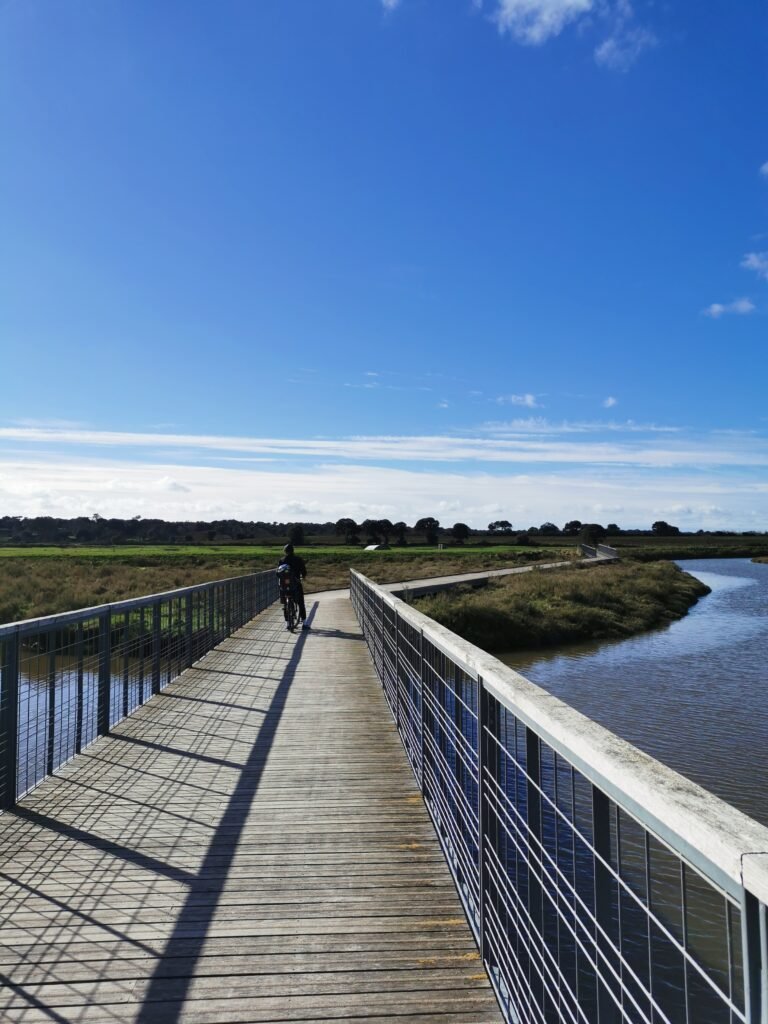 Piste cyclable de la Vélodyssée en Vendée entre forêt et littoral