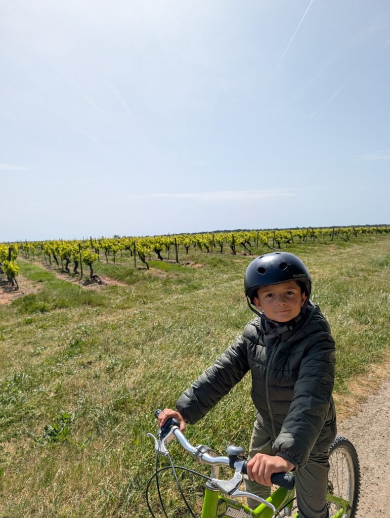 Location de vélos pour adultes et enfants chez Dino Vélo à Talmont-Saint-Hilaire