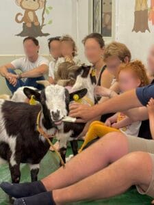 Atelier de médiation animale pour enfants – Parent Cool